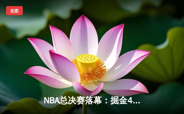 NBA总决赛落幕：掘金4-1热火首夺总冠军 约基奇全票当选FMVP
